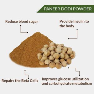 PANEER DODI POWDER – PANEER DODA POWDER – PANEER FRUIT - DesiJadiButi.com