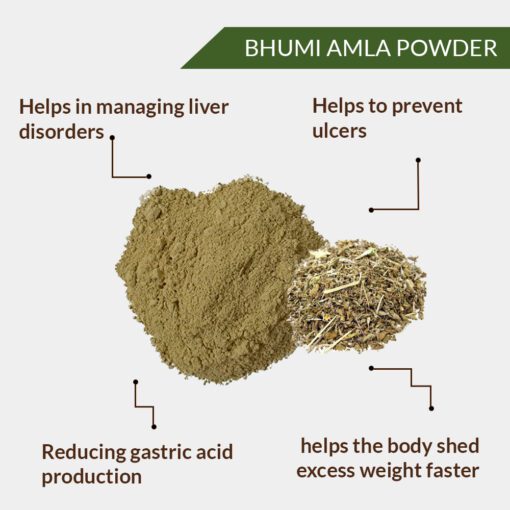Bhumi Amla Powder Benefits