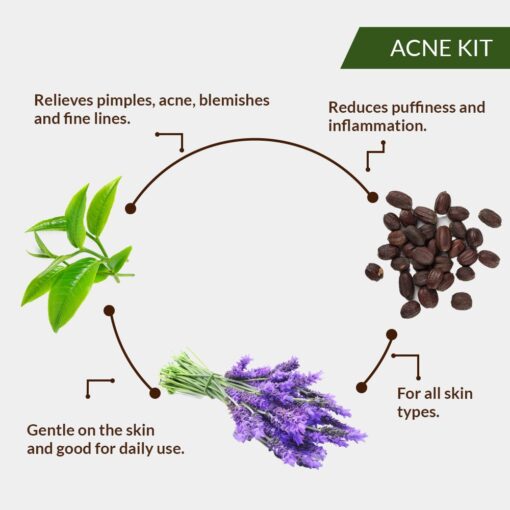 ACNE KIT - (Tea Tree Essential Oil - 15ml, Lavender Essential Oil - 15ml + Jojoba Carrier Oil - 100ml) - Image 3