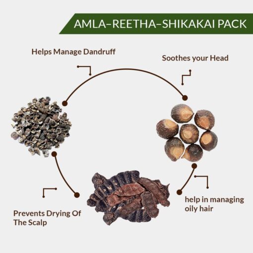 AMLA - REETHA - SHIKAKAI PACK (AMLA, REETHA & SHIKAKAI 100 Gms EACH) - Image 3