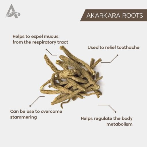 AKARKARA IRANI - AKARKARAH IRANI - ANACYCLUS PYRETHRUM - PELLITORY ROOTS - Image 2