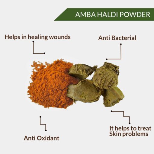 AMBA HALDI POWDER - JANGLI HALDI POWDER - KASTURI HALDI POWDER - CURCUMA AROMATICA - CURCUMA AMADA - WILD TURMERIC POWDER - Image 2