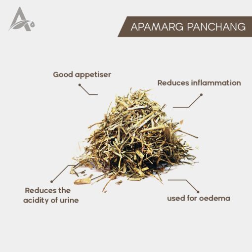 APAMARG PANCHANG - CHIRCHITA - LATJEERA PACHANG - ACHYRANTHES ASPERA - Image 2