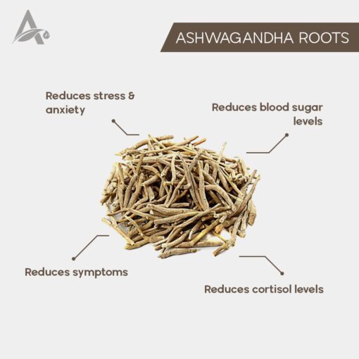 ASHWAGANDHA JADD - ASHWAGANDHA - ASHVAGANDHA ROOTS - ASGANDH - WITHANIA SOMNIFERA - Image 2