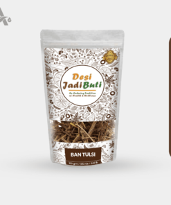 BAN TULSI - VANA TULSI - JUNGLI TULSI - BARBARI TULSI - AJEKA – OCIMUM GRATISSIMUM
