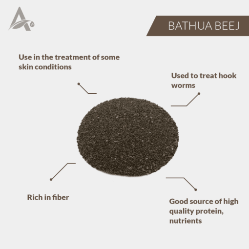 BATHUA BEEJ - BATHUA SEEDS - LAMBSQUARTERS SEED - CHENOPODIUM SEEDS - Image 2