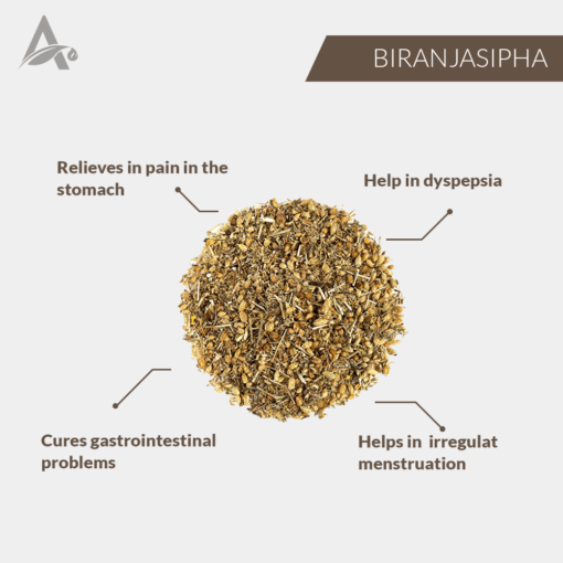 BIRANJASIPHA - GANDANA - BRINJASIF - BRINJASAF - YARROW - MILFOIL - ACHILLEA MILLEFOLIUM - Image 2