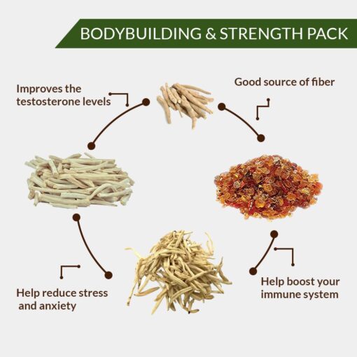 BODYBUILDING & STRENGTH PACK - 400 grams (100 Grams each of Safed Musli, Ashwagandha, Shatavari, Kikar Gum) - Image 3