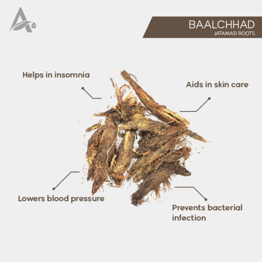 BAALCHHAD - JATAMANSI ROOTS - BALCHAD - JATAMASI JADD - JATILA - NARDOSTACHYS JATAMANSI - Image 2