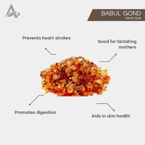 BABUL GOND - KIKAR GOND - BABOOL GOND - KIKAR GUM - ACACIA GUM - Image 2