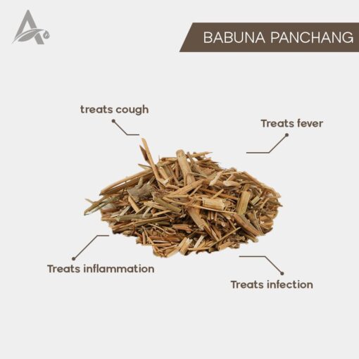 BABUNA PACHANG - BABOONA PANCHANG - CHAMOMILE DRIED PLANT - MATRICARIA CHAMOMILLA - Image 2