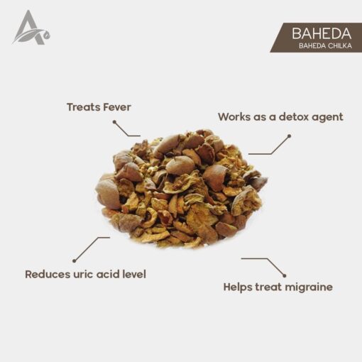 BAHEDA CHILKA - BAHEDE BAKAL - BHIBITAKI - BAHERA (Without Seeds) - TERMINALIA BELERICA - Image 2