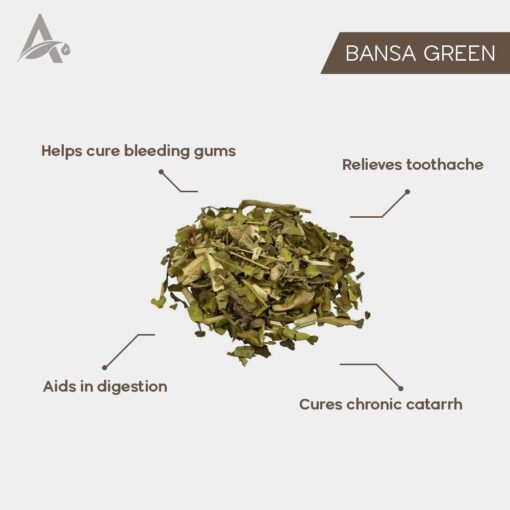 BANSA GREEN - BANSA HARA - ADULSA - ADHUSA - VASA - ADUSA - ADHATODA VASICA - Image 2