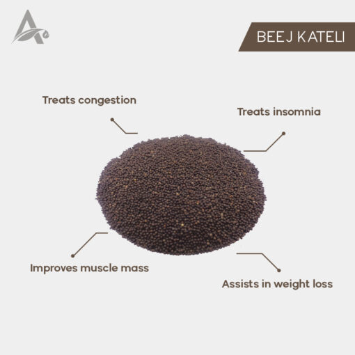 KATERI BEEJ - KATELI SEEDS - SATYANASHI BEEJ - KANTAKARI - KATERI SEEDS - BHATKATIYA - Image 2