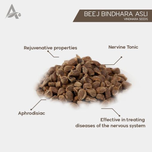 BEEJ BIDHARA ASLI - VIDHARA SEEDS - VRUDDHADARU - ARGYREIA SPECIOSA SWEET - Image 2
