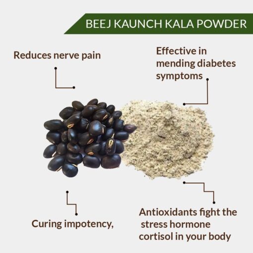 KAUNCH BEEJ KALA POWDER - BLACK KAUNCH SEEDS POWDER - COWHAGE - ALKUNCHI - MUCUNA PRURIENS - Image 2