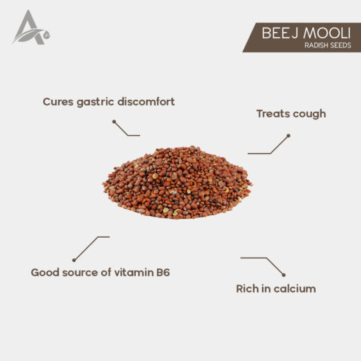 BEEJ MOOLI - BEEJ MULI - RADISH SEEDS - RAPHANUS SATIVUS - Image 2