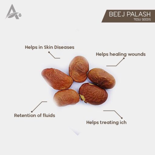 PALASH BEEJ EDIBLE - TESU SEEDS - BILAS PAPDA - DHAK BEEJ - BUTEA FRONDOSA - Image 2