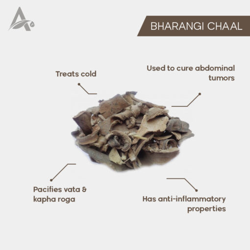 BHARANGI CHAAL - BARANGHI CHHAL - BHADANGI BARK - CLERODENDRUN SERRATUM - Image 2