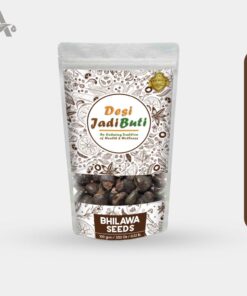 BHILAVA - BHALAVA BEEJ - GODAMBI BEEJ - BHALLATAK - BHILAWA SEEDS - ORIENTAL CASHEW NUT - SEMECARPUS ANACARDIUM