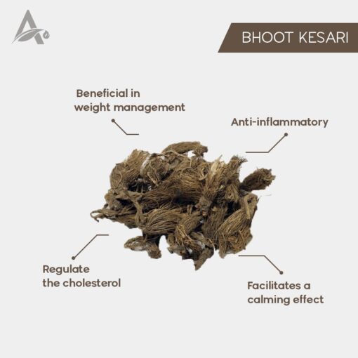 BHUT KESI - BEG KHARFAS - BHOOT KESARI - MURA MANSI - BHUTAKESHI - BHOOTKESHI - SELINUM VAGINATUM - Image 2