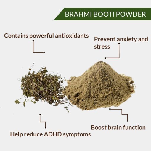 BRAHMI BOOTI POWDER - SARASWATI LEAVES POWDER - NEER BRAHMI POWDER - JAL BRAHMI POWDER - WATER HYSSOP - BACOPA MONNIERI - Image 2