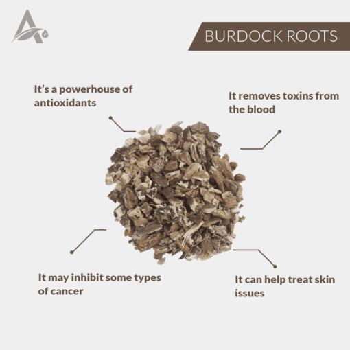 BURDOCK ROOTS - JUNGLI KUTH - GOBO - BARDANA  - ARCTIUM LAPPA - Image 2