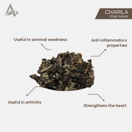 CHADILA - CHARILA - CHAREELA - PATTHAR PHOOL - STONE FLOWER - DAGAD PHOOL - PARMELIA PERLATA - Image 2