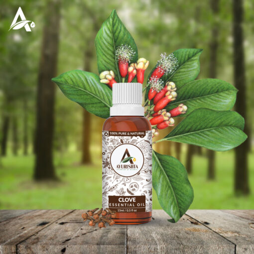 CLOVE OIL - Image 2