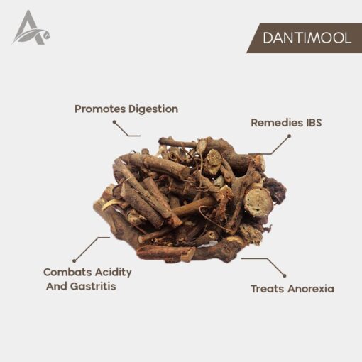 DANTIMOOL - DANTI MOOL - BALIOSPERMUM MONTANUM - Image 2