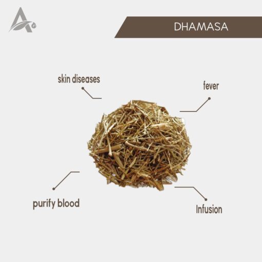 DHAMASA PACHANG - DHAMASHA - DHAMAASA - DESERT FAGONIA - Image 2