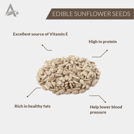 SURAJMUKHI MAGAJ - EDIBLE SURAJMUKHI BEEJ SAFED - SUNFLOWER SEEDS WHITE - HELIANTHUS ANNUUS - Image 2