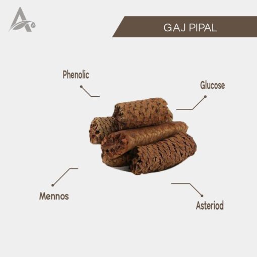 GAJ PIPAL - GAJ PEEPAL - GAJPEEPAL - PIPER CHABA - SCINDAPSUS OFFICINALIS - Image 2