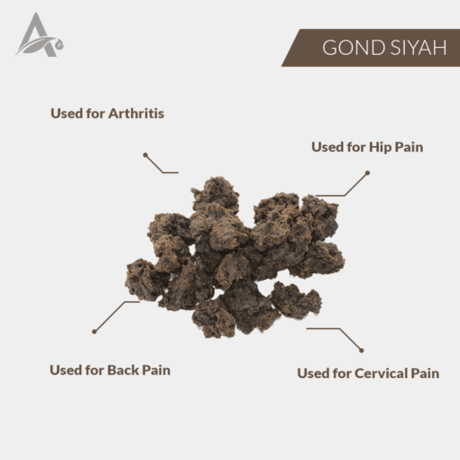 GOND SIYAH ASLI - GOOND SIYAH - KALA GOND - Image 2