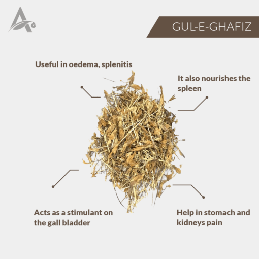 GUL-E-GHAFIZ - ASBARG - GENTIAN - GENTIANA OLIVIERI GRISEB - Image 2