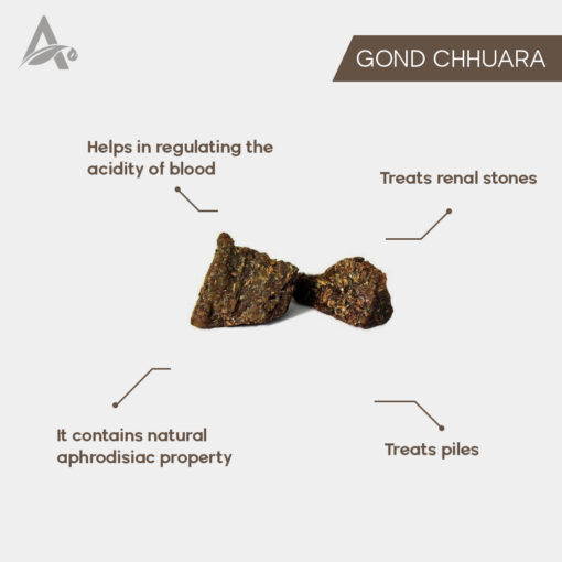 GOND CHHUARA - GOND CHUARA - GOND CHOARA - DATES TREE GUM - Image 2