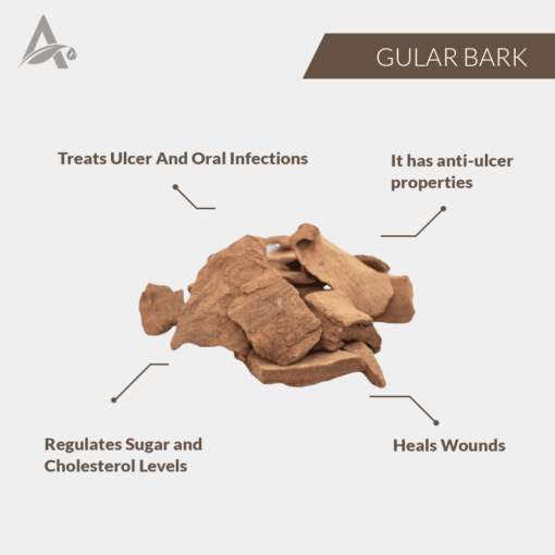 GULAR CHHAL - GULAR BARK - GULAR CHAAL - UDUMBARA - FICUS RACEMOSA - Image 2