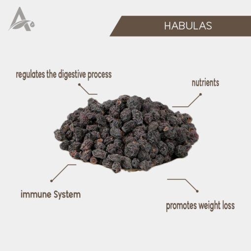 HABULAS - HABOOLAAS - MYTRUS COMMUNIS LINN - MYRTLE - Image 2