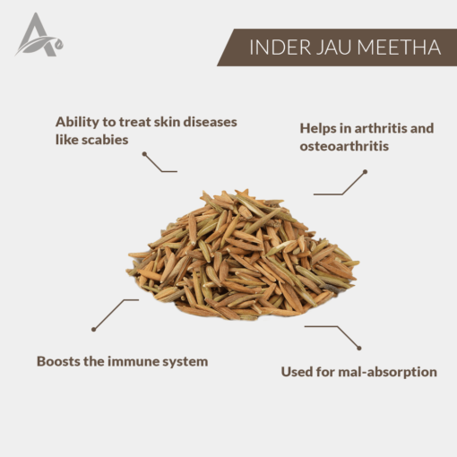 INDER JAU MEETHA - INDERJO MITHA - INDRAJAV MEETHA - WRIGHTIA TINCTORIA - Image 2