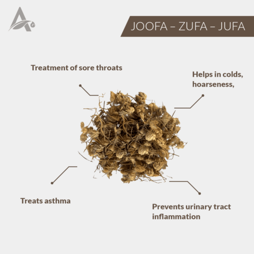 JOOFA - ZUFA - JUFA – HYSSOP - ISSOPO - HOLY HERB - HYSSOPUS OFFICINALIS - Image 2