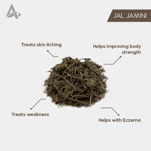 JAL JAMNI - JAL JAMANI - JAL JAMINI - BROOM CREEPER - COCCULUS HIRSUTUS - Image 2