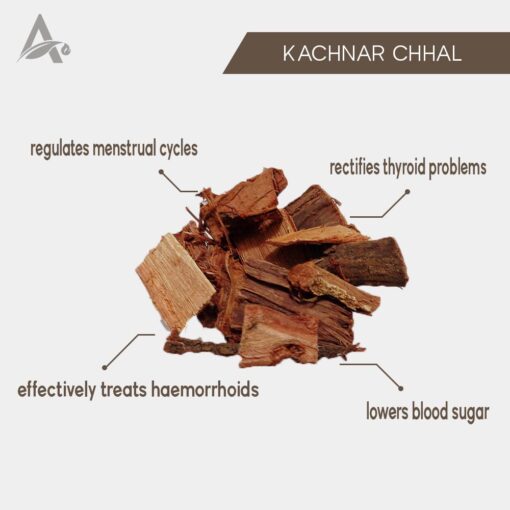 KACHNAR CHHAL - KACHNAR - KANCHNAR CHHAL - BAUHINIA VARIEGATA - Image 2