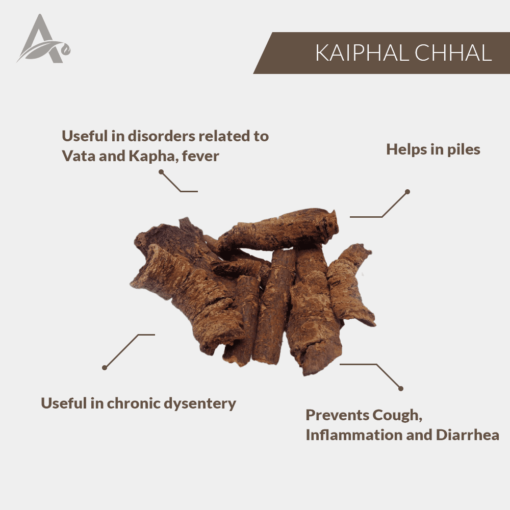 KAIPHAL CHHAL - KAYPHAL CHAAL - KAYFAL - MYRICA NAGI - MYRICA ESCULENTA - Image 2