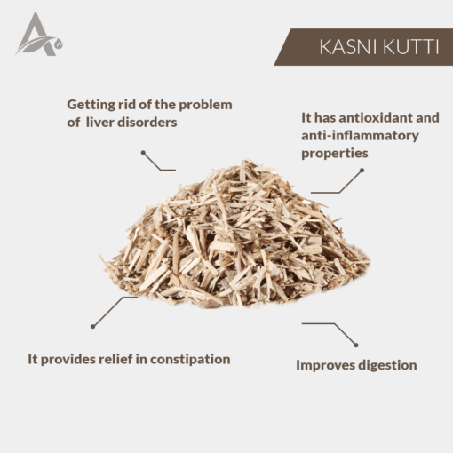 KASNI PACHANG - KASNI KI KUTTI - KASANI KUTTI - CICHORIUM INTYBUS - Image 2
