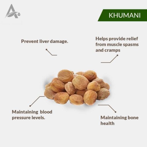KHUMANI - KHUBANI - ZARDALU - JARDALU - DRIED APRICOT - Image 2
