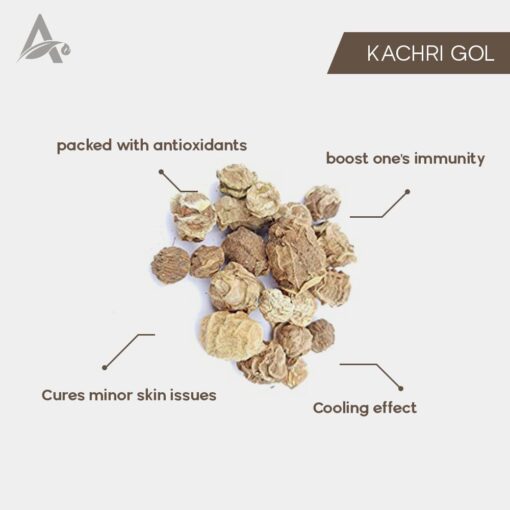 KACHRI GOL - CURCUMA ZEDOARIA - Image 2