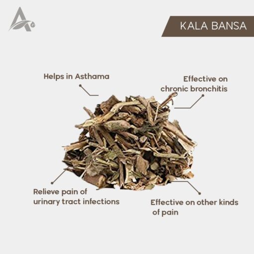 BANSA KALA - BNASA BLACK - ADULSA - ADHUSA - VASA - ADUSHA - ADHATODA VASAKA - Image 2