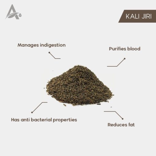 KALI JIRI - KAALI JEERI - KADU JIRA - BITTER CUMIN - KADVA JEERA - CENTRATHERUM ANTHELMINTICUM - Image 2
