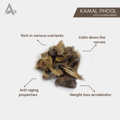 KAMAL PHOOL DRY – DRY LOTUS FLOWER - NELUMBO NUCIFERA - Image 2
