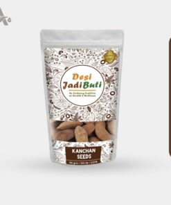 KANCHAN BEEJ - KANCHAN SEEDS - CHAMPAK SEED - MICHELIA CHAMPACA